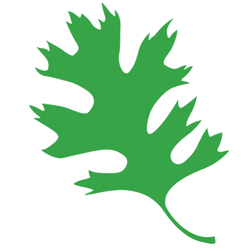 Pedro Valero Lara featured image